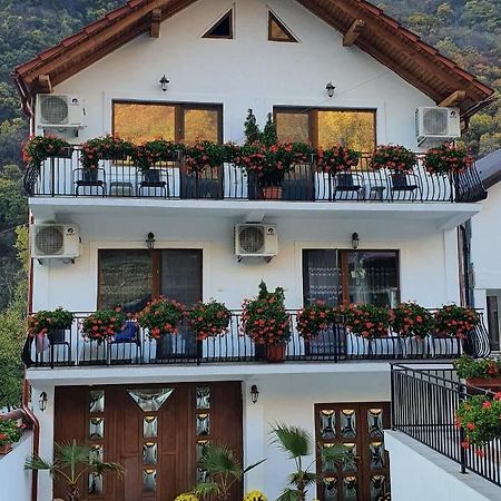 شقة Casa Mimi Băile Herculane المظهر الخارجي الصورة