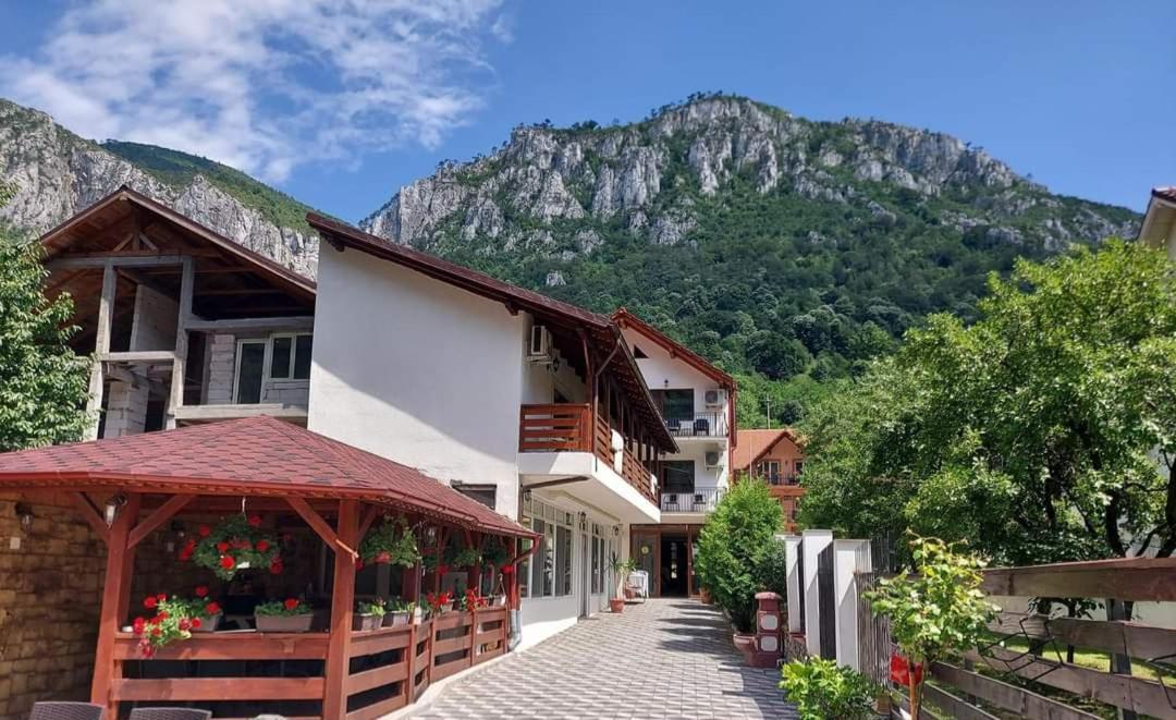 شقة Casa Mimi Băile Herculane المظهر الخارجي الصورة